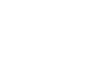 Crittall Windows Logo